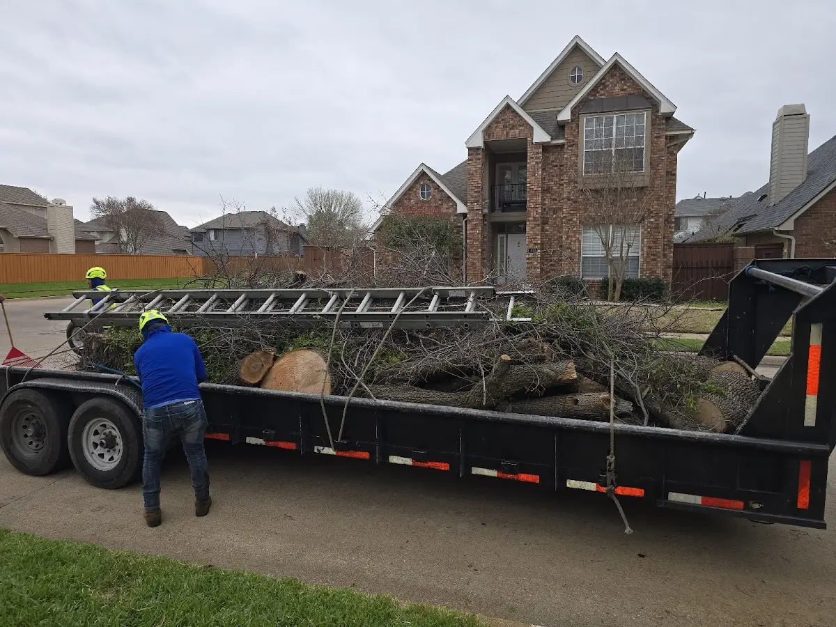 Expert Lot Clearing with proper safety equipment in Wymore